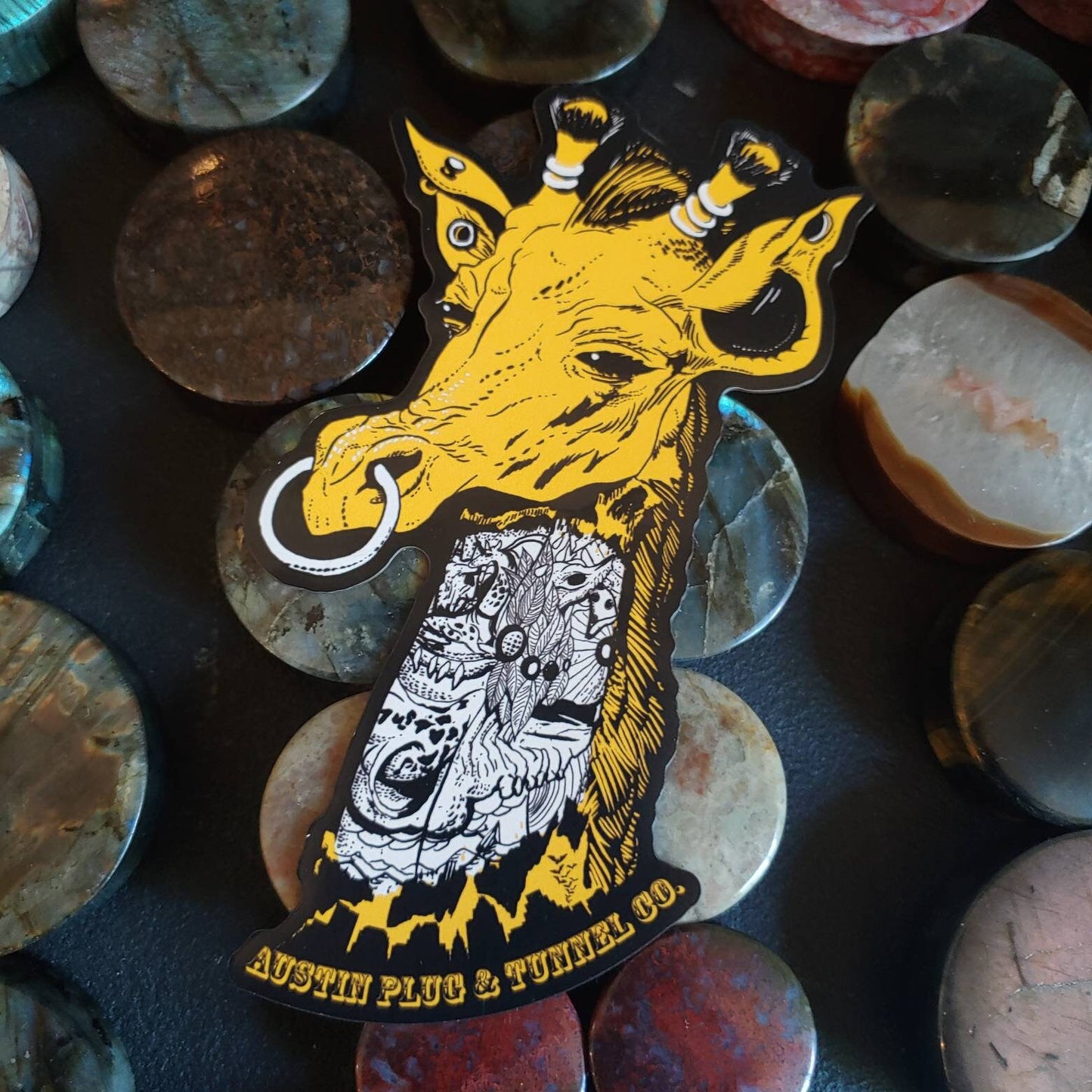 APTC Logo Magnet! 5"x2.5"