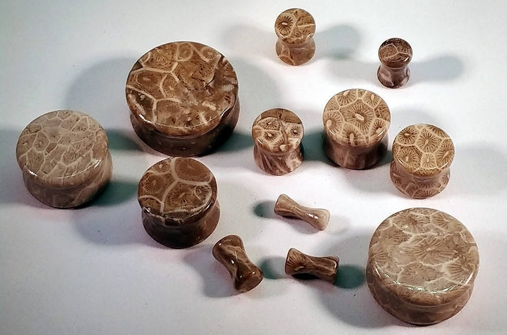 Classic Double Flare Fossilized Coral Stone Plugs