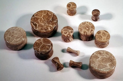 Classic Double Flare Fossilized Coral Stone Plugs