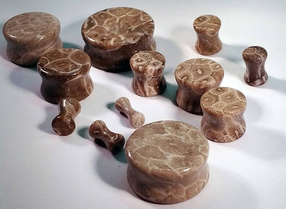 Classic Double Flare Fossilized Coral Stone Plugs