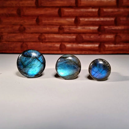 Labradorite Single Flare Stone Plugs