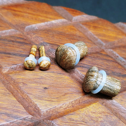 Picture Jasper Single Flare Stone Plugs