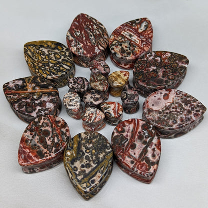 Teardrop Leopard Jasper Stone Plugs