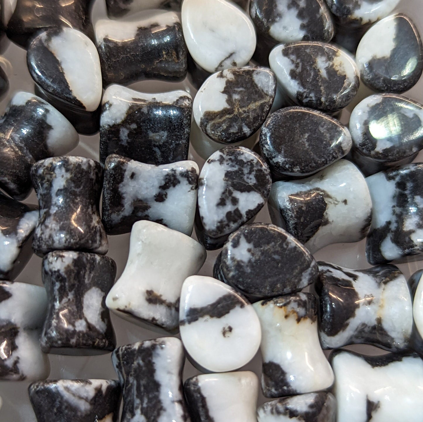 Teardrop Zebra Stone Plugs