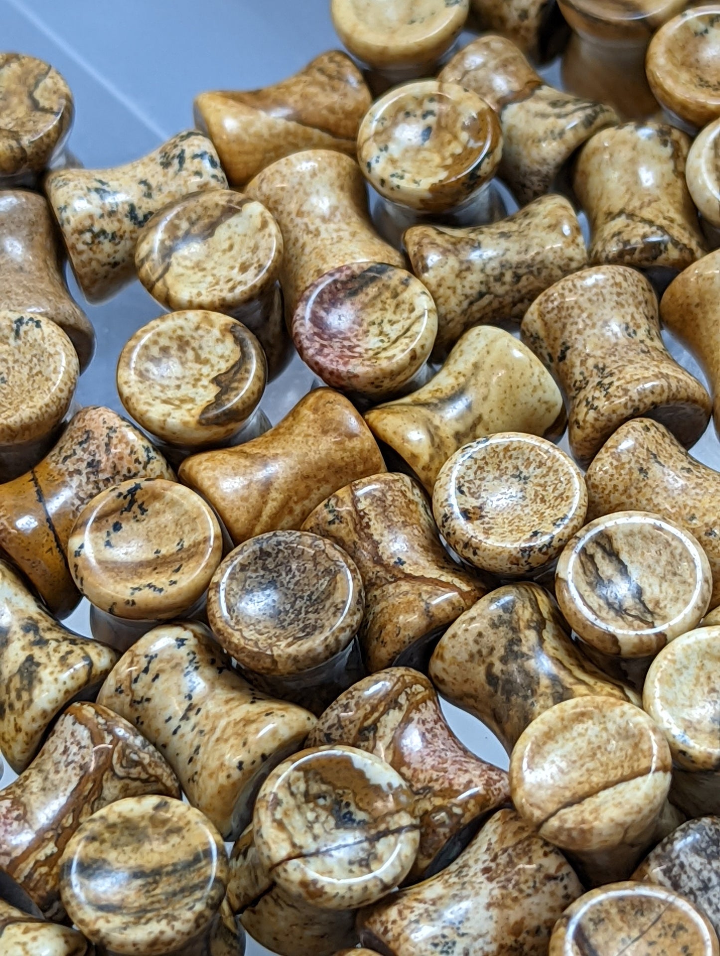 Concave Picture Jasper Stone Plugs
