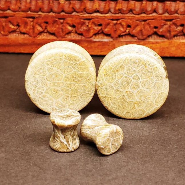 Classic Double Flare Fossilized Coral Stone Plugs