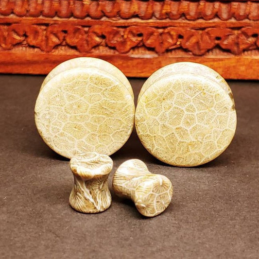 Classic Double Flare Fossilized Coral Stone Plugs