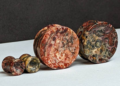 Concave Leopard Jasper Stone Plugs for stretched ears