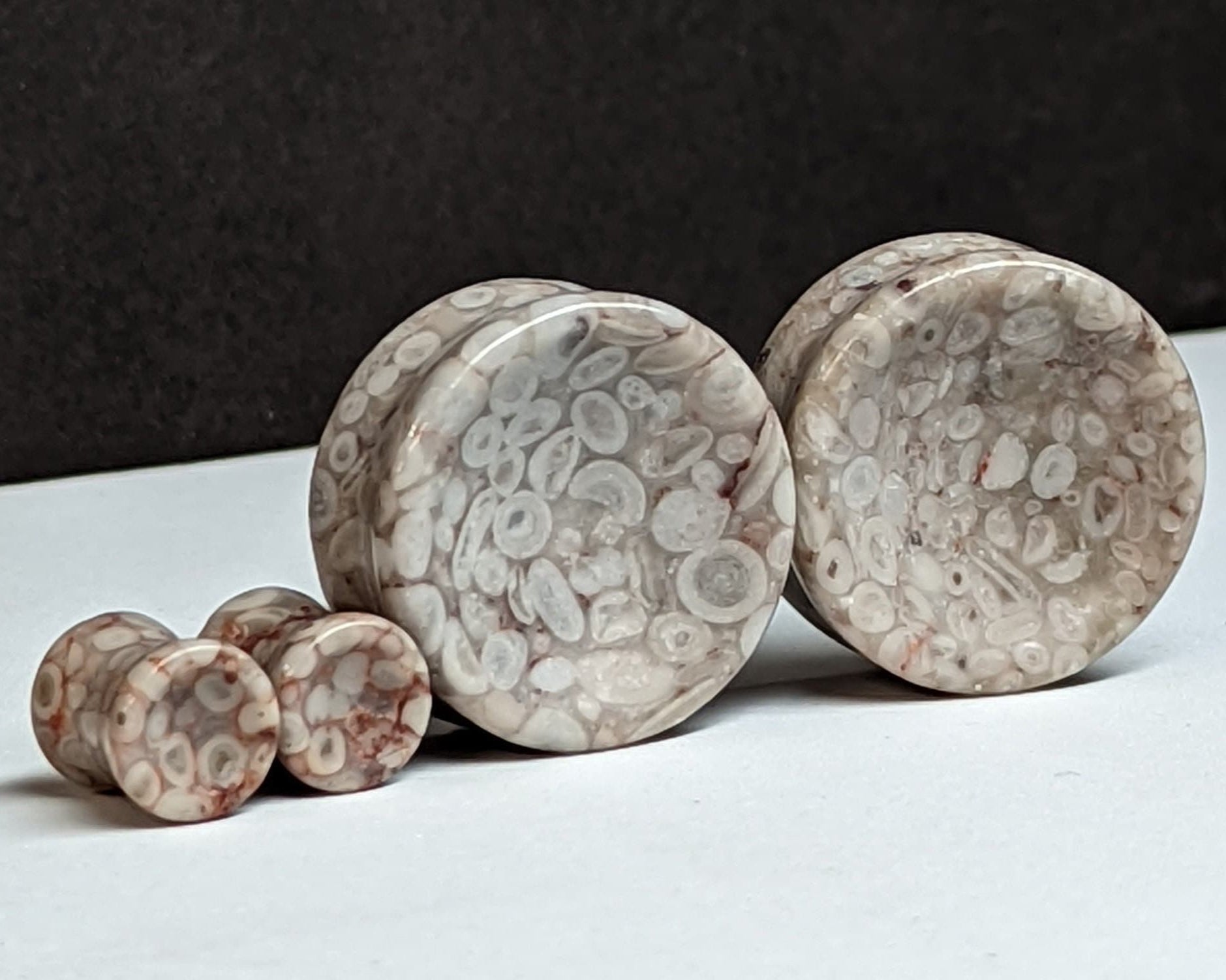 Concave Lily Fossil Stone Plugs