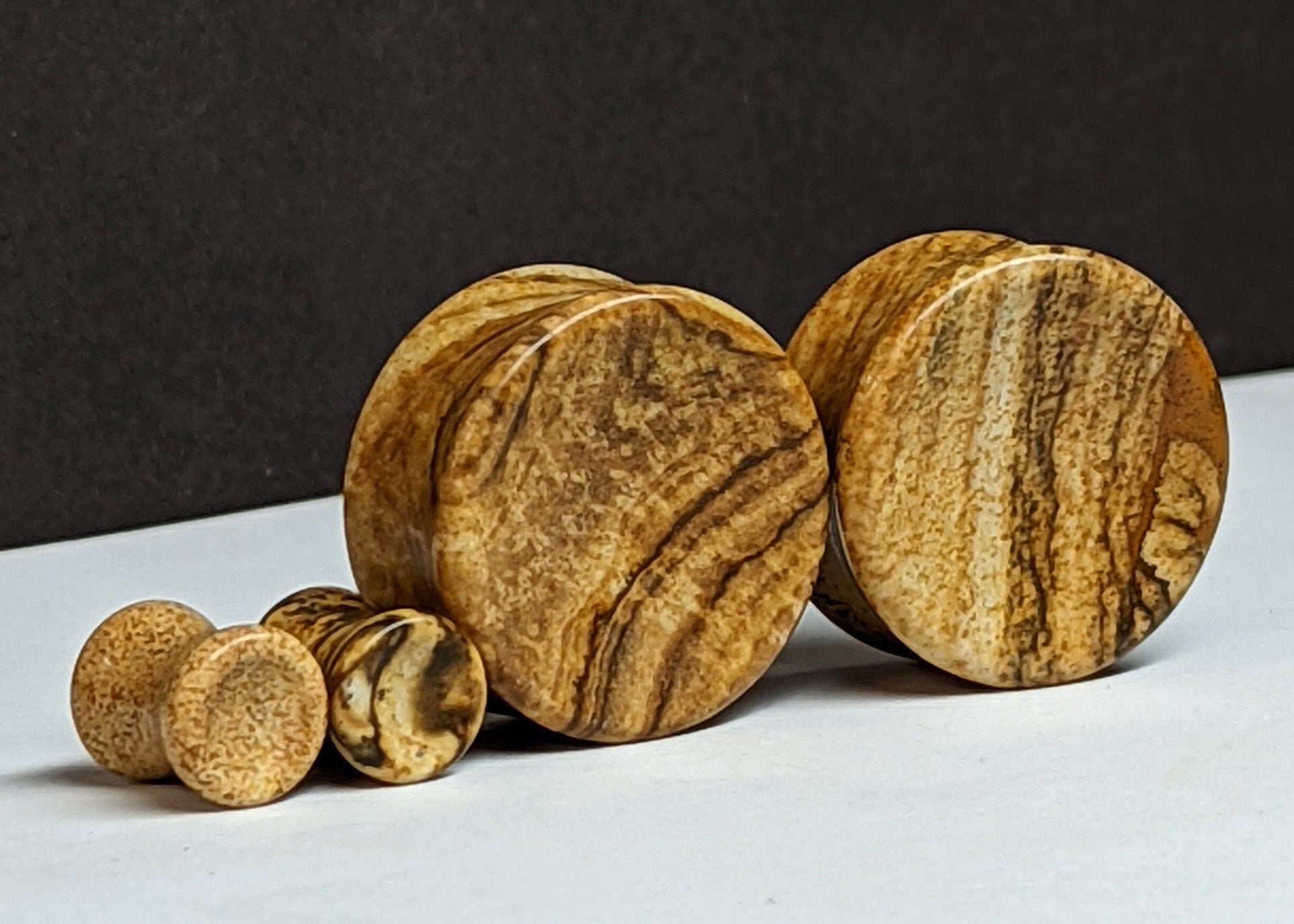 Concave Picture Jasper Stone Plugs