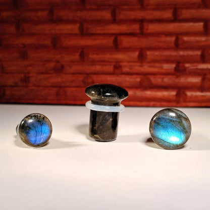 Single Flare Labradorite Plugs for stretched ears