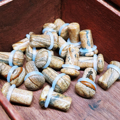 Picture Jasper Single Flare Stone Plugs