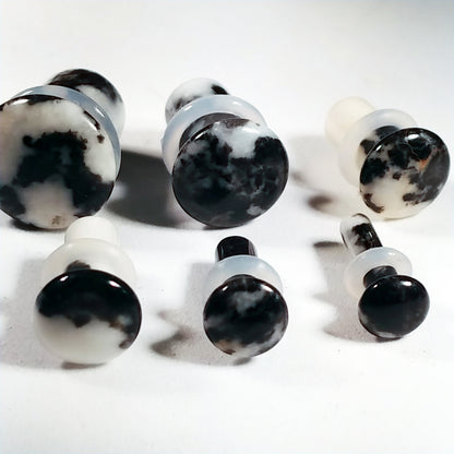 Zebra Stone Single Flare Plugs