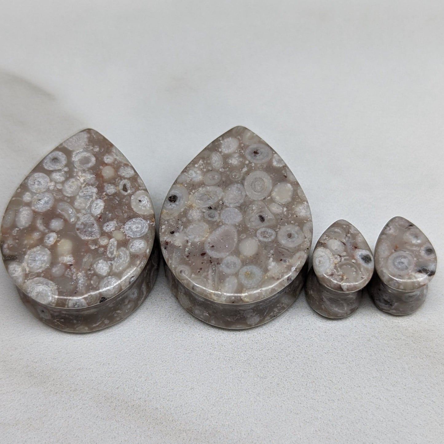 Teardrop Lily Fossil Stone Plugs