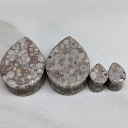 Teardrop Lily Fossil Stone Plugs