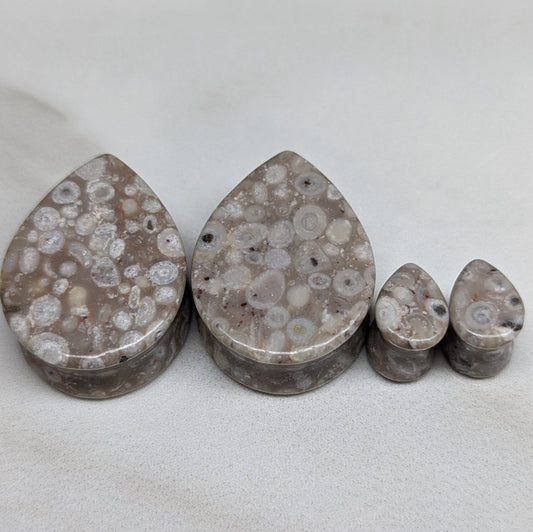 Teardrop Lily Fossil Stone Plugs