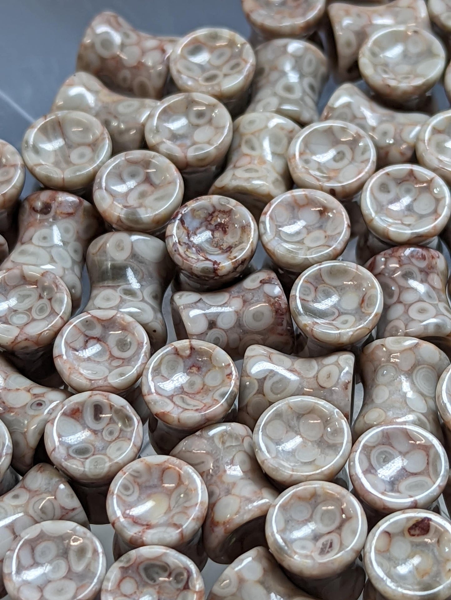 Concave Lily Fossil Stone Plugs