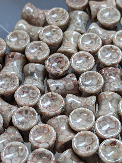 Concave Lily Fossil Stone Plugs