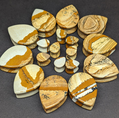 Teardrop Picture Jasper Stone Plugs