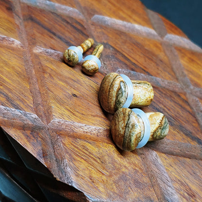 Picture Jasper Single Flare Stone Plugs