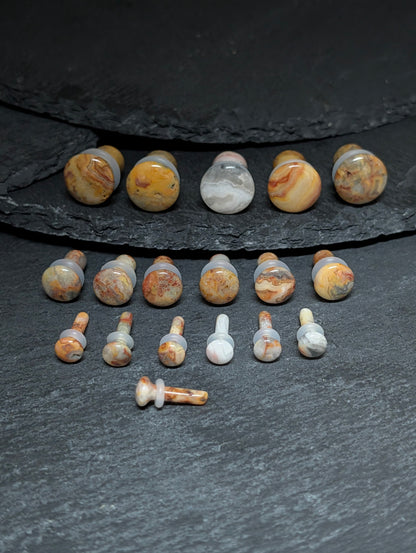 Crazy Lace Agate Single Flare Stone Plugs