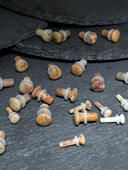 Crazy Lace Agate Single Flare Stone Plugs