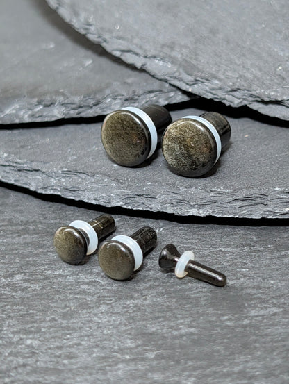 Golden Obsidian Single Flare Stone Plugs