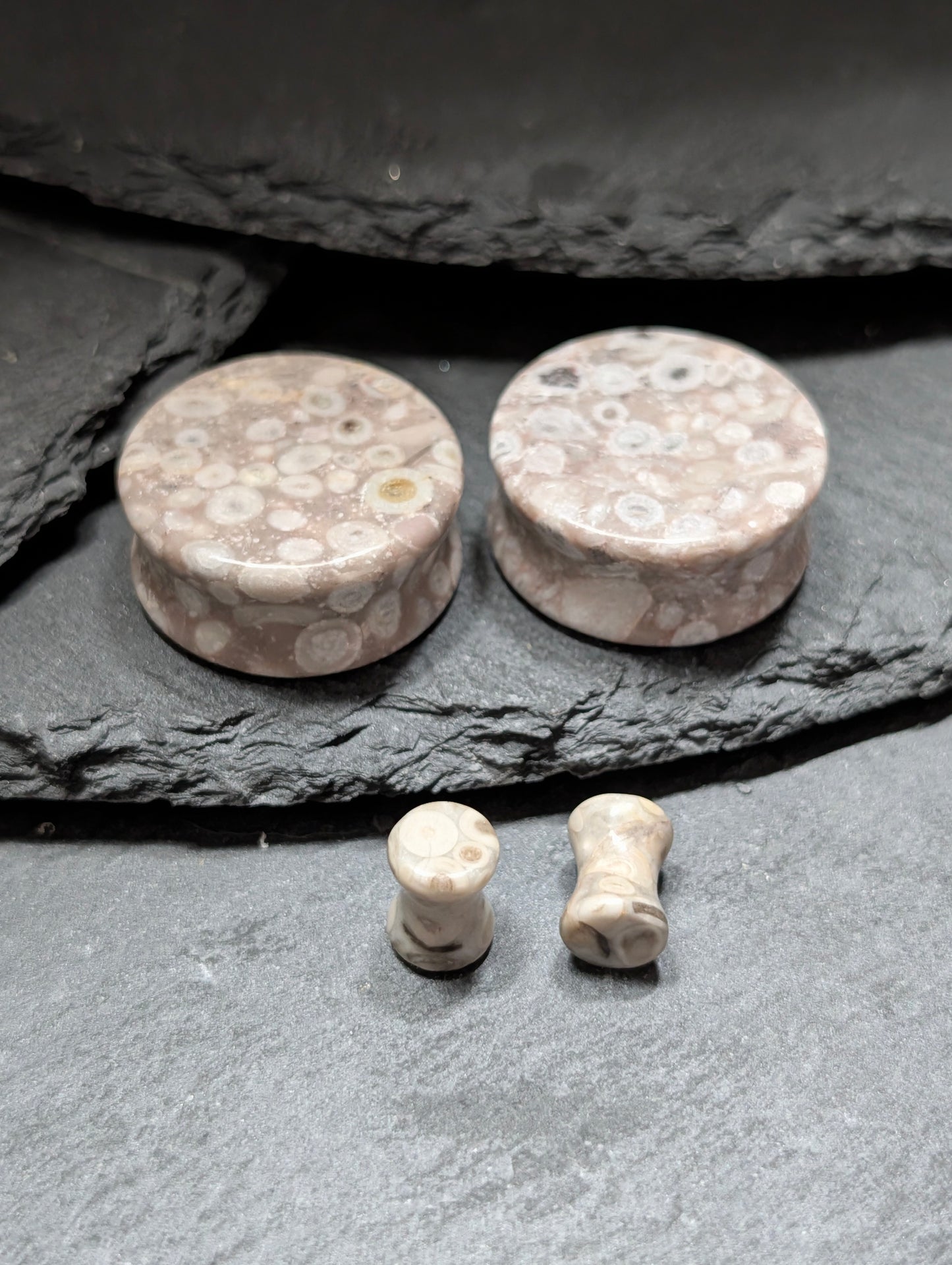 Classic Double Flare Lily Fossil Stone Plugs