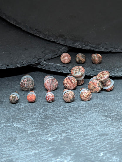 Leopard Jasper Stone Single Flare Plugs