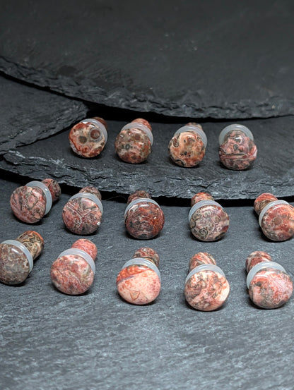 Leopard Jasper Stone Single Flare Plugs
