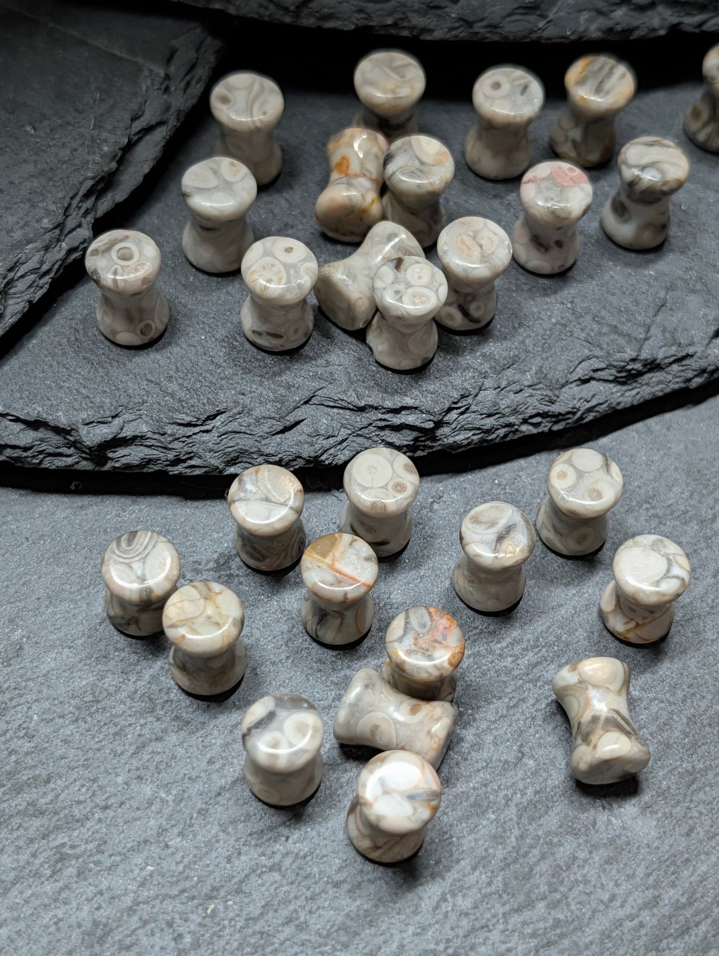 Classic Double Flare Lily Fossil Stone Plugs