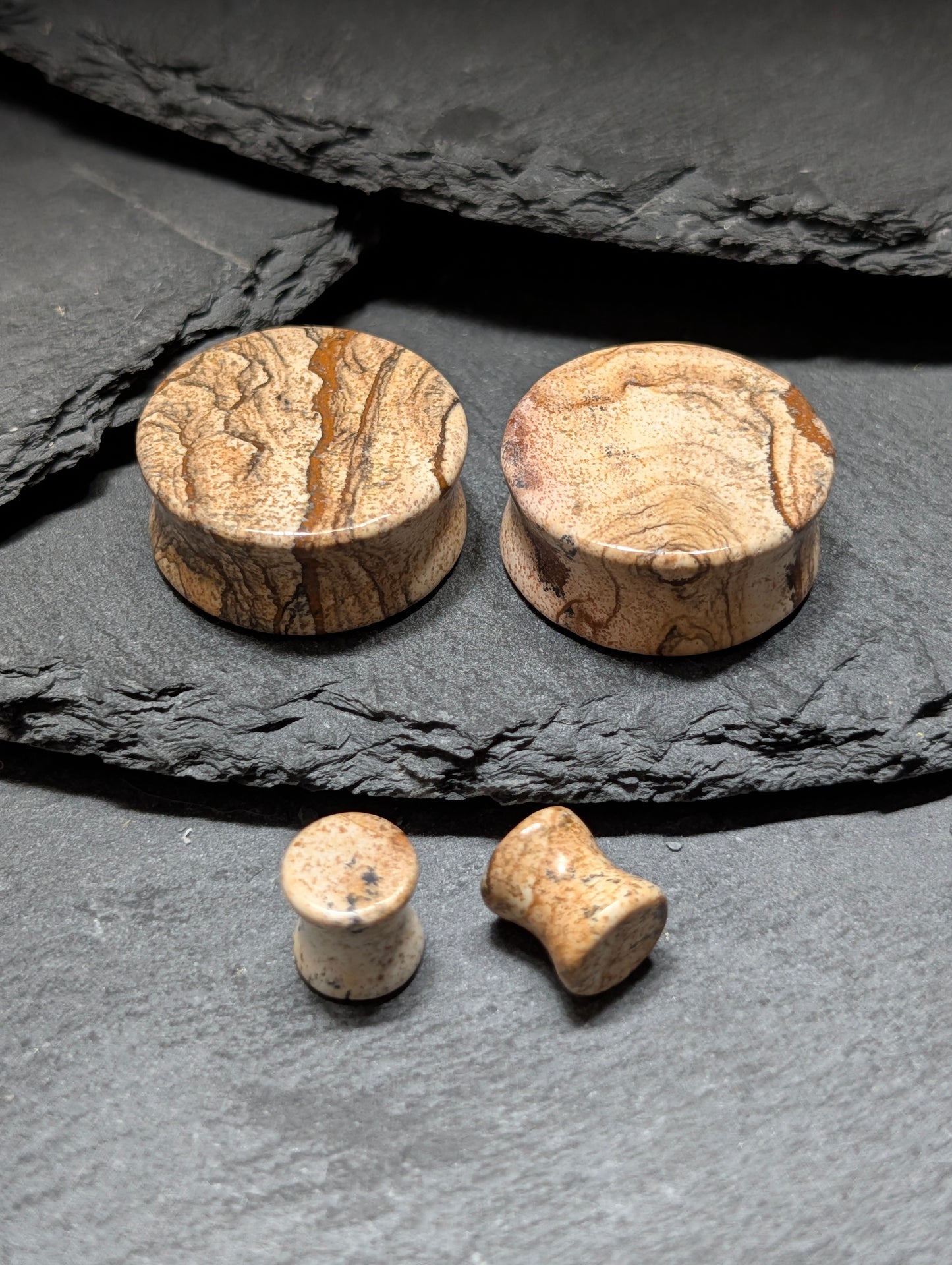 Classic Double Flare Picture Jasper Stone Plugs